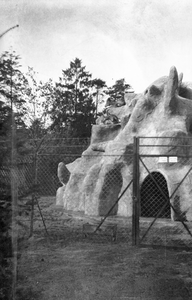 805438 Afbeelding van enkele steenbokken op een rots in de Zeister Dierentuin (Woudenbergseweg 15) te Zeist.